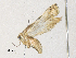  ( - CBG-A34333-E04)  @11 [ ] CreativeCommons - Attribution Share-Alike (2024) CBG Photography Group Centre for Biodiversity Genomics
