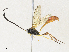  ( - CBG-A34335-E05)  @11 [ ] CreativeCommons - Attribution Share - Alike (2024) CBG Photography Group Centre for Biodiversity Genomics