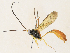 ( - CBG-A34335-H07)  @11 [ ] CreativeCommons - Attribution Share - Alike (2024) CBG Photography Group Centre for Biodiversity Genomics