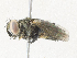  ( - CBG-A34337-A07)  @11 [ ] CreativeCommons - Attribution Share - Alike (2024) CBG Photography Group Centre for Biodiversity Genomics