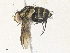  ( - CBG-A34338-A03)  @11 [ ] CreativeCommons - Attribution Share - Alike (2024) CBG Photography Group Centre for Biodiversity Genomics