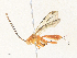  ( - CBG-A34338-C02)  @11 [ ] CreativeCommons - Attribution Share - Alike (2024) CBG Photography Group Centre for Biodiversity Genomics