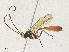  ( - CBG-A34339-B04)  @11 [ ] CreativeCommons - Attribution Share - Alike (2024) CBG Photography Group Centre for Biodiversity Genomics