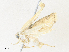  ( - CBG-A34339-D10)  @11 [ ] CreativeCommons - Attribution Share - Alike (2024) CBG Photography Group Centre for Biodiversity Genomics