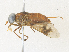  ( - CBG-A34340-B08)  @11 [ ] CreativeCommons - Attribution Share - Alike (2024) CBG Photography Group Centre for Biodiversity Genomics