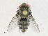  ( - CBG-A34340-F02)  @11 [ ] CreativeCommons - Attribution Share - Alike (2024) CBG Photography Group Centre for Biodiversity Genomics