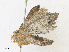  ( - CBG-A35134-A11)  @11 [ ] CreativeCommons - Attribution Share - Alike (2024) CBG Photography Group Centre for Biodiversity Genomics