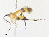  ( - CBG-A35134-G11)  @11 [ ] CreativeCommons - Attribution Share - Alike (2024) CBG Photography Group Centre for Biodiversity Genomics