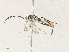  ( - CBG-A35135-D03)  @11 [ ] CreativeCommons - Attribution Share - Alike (2024) CBG Photography Group Centre for Biodiversity Genomics