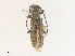  ( - CBG-A35136-E01)  @11 [ ] CreativeCommons - Attribution Share - Alike (2024) CBG Photography Group Centre for Biodiversity Genomics