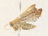  ( - CBG-A35138-B02)  @11 [ ] CreativeCommons - Attribution Share - Alike (2024) CBG Photography Group Centre for Biodiversity Genomics