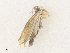  ( - CBG-A35140-C05)  @11 [ ] CreativeCommons - Attribution Share - Alike (2024) CBG Photography Group Centre for Biodiversity Genomics