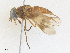  ( - CBG-A36769-A10)  @11 [ ] CreativeCommons - Attribution Share - Alike (2024) CBG Photography Group Centre for Biodiversity Genomics