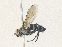  ( - CBG-A36770-D02)  @11 [ ] CreativeCommons - Attribution Share - Alike (2024) CBG Photography Group Centre for Biodiversity Genomics