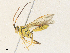 ( - CBG-A36771-C02)  @11 [ ] CreativeCommons - Attribution Share - Alike (2024) CBG Photography Group Centre for Biodiversity Genomics