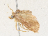  ( - CBG-A36817-A06)  @11 [ ] CreativeCommons - Attribution Share - Alike (2024) CBG Photography Group Centre for Biodiversity Genomics