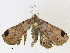  ( - CBG-A30968-F10)  @11 [ ] CreativeCommons - Attribution Share - Alike (2024) CBG Photography Group Centre for Biodiversity Genomics