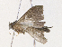  ( - CBG-A30968-H03)  @11 [ ] CreativeCommons - Attribution Share - Alike (2024) CBG Photography Group Centre for Biodiversity Genomics