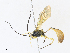  ( - CBG-A30970-D12)  @11 [ ] CreativeCommons - Attribution Share - Alike (2024) CBG Photography Group Centre for Biodiversity Genomics