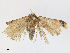  ( - CBG-A30970-F02)  @11 [ ] CreativeCommons - Attribution Share - Alike (2024) CBG Photography Group Centre for Biodiversity Genomics