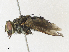  ( - CBG-A30972-F10)  @11 [ ] CreativeCommons - Attribution Share - Alike (2024) CBG Photography Group Centre for Biodiversity Genomics