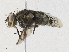  ( - CBG-A30972-G02)  @11 [ ] CreativeCommons - Attribution Share - Alike (2024) CBG Photography Group Centre for Biodiversity Genomics