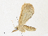  ( - CBG-A30972-G11)  @11 [ ] CreativeCommons - Attribution Share - Alike (2024) CBG Photography Group Centre for Biodiversity Genomics