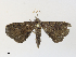  ( - CBG-A33493-A04)  @11 [ ] CreativeCommons - Attribution Share - Alike (2024) CBG Photography Group Centre for Biodiversity Genomics