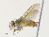  ( - CBG-A33493-E06)  @11 [ ] CreativeCommons - Attribution Share - Alike (2024) CBG Photography Group Centre for Biodiversity Genomics