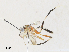  ( - CBG-A33494-F02)  @11 [ ] CreativeCommons - Attribution Share - Alike (2024) CBG Photography Group Centre for Biodiversity Genomics