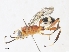  ( - CBG-A33494-F12)  @11 [ ] CreativeCommons - Attribution Share - Alike (2024) CBG Photography Group Centre for Biodiversity Genomics