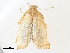  ( - CBG-A33495-B10)  @11 [ ] CreativeCommons - Attribution Share-Alike (2024) CBG Photography Group Centre for Biodiversity Genomics