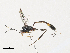  ( - CBG-A33495-G07)  @11 [ ] CreativeCommons - Attribution Share-Alike (2024) CBG Photography Group Centre for Biodiversity Genomics