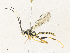  ( - CBG-A33497-E03)  @11 [ ] CreativeCommons - Attribution Share - Alike (2024) CBG Photography Group Centre for Biodiversity Genomics
