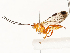  ( - CBG-A65326-D09)  @11 [ ] CreativeCommons - Attribution Share - Alike (2025) CBG Photography Group Centre for Biodiversity Genomics