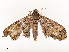 ( - CBG-A67895-B04)  @11 [ ] CreativeCommons - Attribution Share - Alike (2025) CBG Photography Group Centre for Biodiversity Genomics