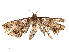  ( - CBG-A67895-B05)  @11 [ ] CreativeCommons - Attribution Share - Alike (2025) CBG Photography Group Centre for Biodiversity Genomics