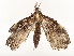  ( - CBG-A67895-B06)  @11 [ ] CreativeCommons - Attribution Share - Alike (2025) CBG Photography Group Centre for Biodiversity Genomics
