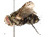  ( - CBG-A67896-B08)  @11 [ ] CreativeCommons - Attribution Share - Alike (2025) CBG Photography Group Centre for Biodiversity Genomics