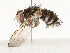  ( - CBG-A67896-C01)  @11 [ ] CreativeCommons - Attribution Share - Alike (2025) CBG Photography Group Centre for Biodiversity Genomics