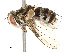  ( - CBG-A67896-C08)  @11 [ ] CreativeCommons - Attribution Share - Alike (2025) CBG Photography Group Centre for Biodiversity Genomics