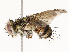  ( - CBG-A67896-E01)  @11 [ ] CreativeCommons - Attribution Share - Alike (2025) CBG Photography Group Centre for Biodiversity Genomics