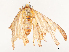  ( - CBG-A67898-A06)  @11 [ ] CreativeCommons - Attribution Share - Alike (2025) CBG Photography Group Centre for Biodiversity Genomics