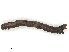  ( - CBG-A67898-H07)  @11 [ ] CreativeCommons - Attribution Share - Alike (2025) CBG Photography Group Centre for Biodiversity Genomics