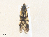  ( - CBG-A36775-B01)  @11 [ ] CreativeCommons - Attribution Share - Alike (2024) CBG Photography Group Centre for Biodiversity Genomics