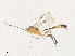  ( - CBG-A36776-G03)  @11 [ ] CreativeCommons - Attribution Share - Alike (2024) CBG Photography Group Centre for Biodiversity Genomics