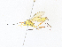  ( - CBG-A36819-C11)  @11 [ ] CreativeCommons - Attribution Share - Alike (2024) CBG Photography Group Centre for Biodiversity Genomics