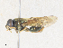  ( - CBG-A36819-F02)  @11 [ ] CreativeCommons - Attribution Share - Alike (2024) CBG Photography Group Centre for Biodiversity Genomics