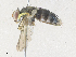  ( - CBG-A36819-F04)  @11 [ ] CreativeCommons - Attribution Share - Alike (2024) CBG Photography Group Centre for Biodiversity Genomics
