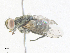  ( - CBG-A36819-G01)  @11 [ ] CreativeCommons - Attribution Share - Alike (2024) CBG Photography Group Centre for Biodiversity Genomics